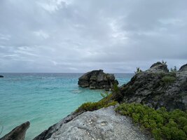 IMG_3459.jpeg