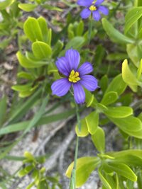 IMG_3582.jpeg