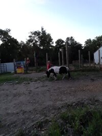 20200621_212427.jpg