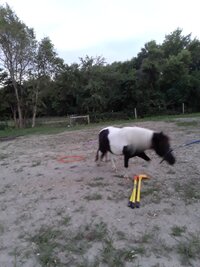 20200621_212533.jpg