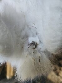 20250625_174107.jpg