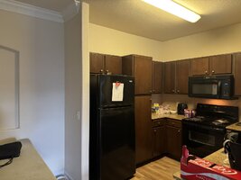 IMG_1972.jpeg