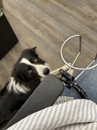 IMG_3926.jpeg