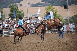 DSC_0237.JPG