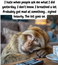 IMG_4274.jpeg