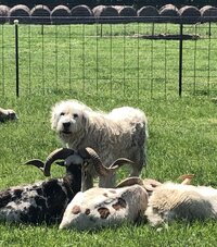 IMG_3859.jpeg