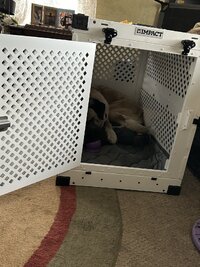 IMG_4284.jpeg