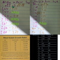 GridArt_20251020_125611246.jpg