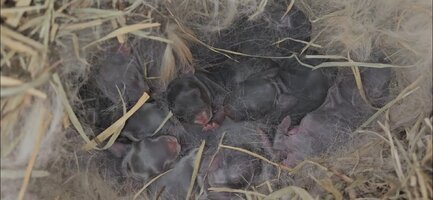 Screenshot_20251022_111908_Gallery.jpg Screenshot_20251022_111908_Gallery.jpg