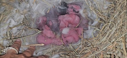 Screenshot_20251023_093646_Gallery.jpg Screenshot_20251023_093646_Gallery.jpg