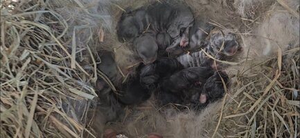 Screenshot_20251024_123130_Gallery.jpg Screenshot_20251024_123130_Gallery.jpg