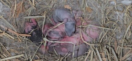 Screenshot_20251024_123214_Gallery.jpg Screenshot_20251024_123214_Gallery.jpg