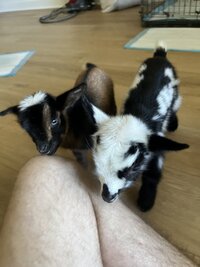 IMG_5968.jpeg