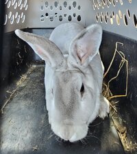 20251101_132904.jpg 20251101_132904.jpg