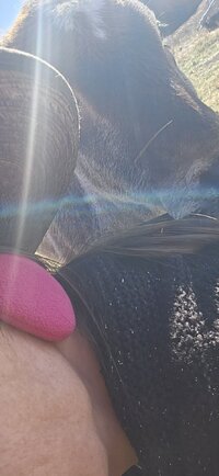 20251110_113138.jpg 20251110_113138.jpg