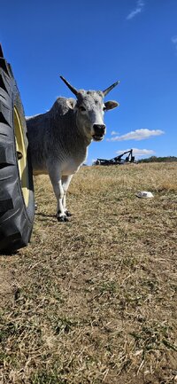 20251110_112943.jpg 20251110_112943.jpg