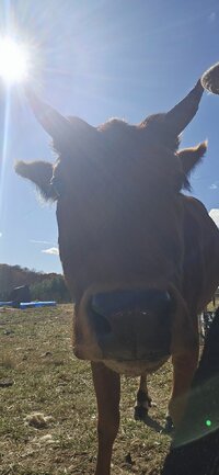 20251110_112932.jpg 20251110_112932.jpg