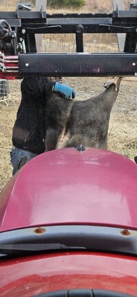 20251110_151204.jpg 20251110_151204.jpg