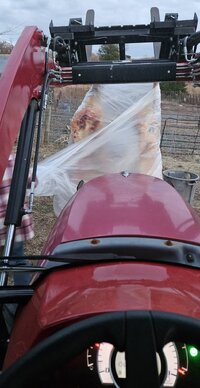 20251110_171252(0).jpg 20251110_171252(0).jpg