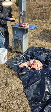 20251111_123924.jpg 20251111_123924.jpg