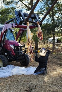 20251111_141708.jpg 20251111_141708.jpg