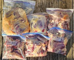 20251111_155931.jpg 20251111_155931.jpg