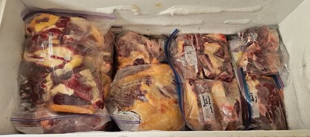 20251111_160940.jpg 20251111_160940.jpg