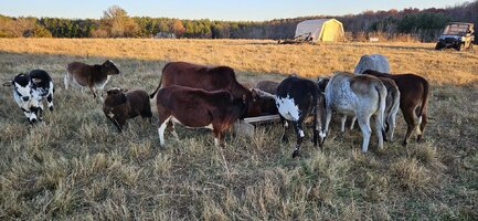 20251111_164052.jpg 20251111_164052.jpg