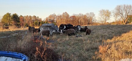 20251111_164223.jpg 20251111_164223.jpg