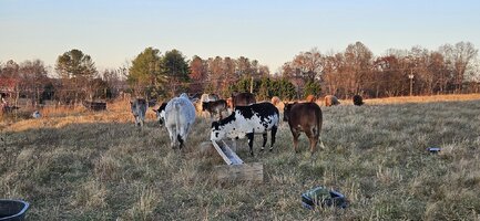 20251111_164618.jpg 20251111_164618.jpg