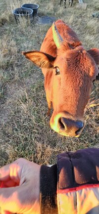 20251111_164456.jpg 20251111_164456.jpg