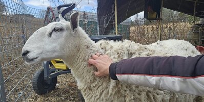 20251128_130239(0).jpg 20251128_130239(0).jpg