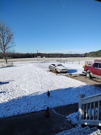 IMG_20251209_090941377.jpg IMG_20251209_090941377.jpg