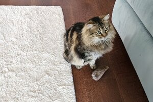 20251225_091708(1).jpg 20251225_091708(1).jpg