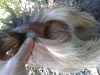 20160121_131017.jpg