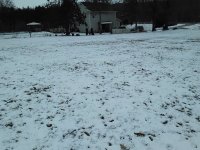 coyotte 032.jpg coyotte 032.jpg