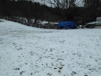 coyotte 033.jpg coyotte 033.jpg