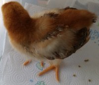 20160406_122359.jpg