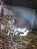 NCM_0342-1.JPG NCM_0342-1.JPG