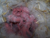 101_8915.JPG 101_8915.JPG