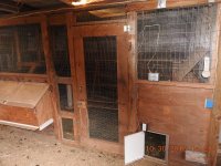 chicken coop.jpg