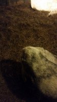 20170108_002908.jpg