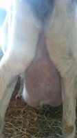 20170118_163626.jpg