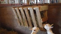 DIY-Pallet-Hay-Feeder.jpg