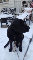 20170313_170140.jpg