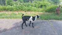 20170520_165643.jpg