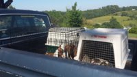 20170516_170800.jpg
