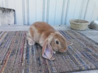 NCM_2904.JPG NCM_2904.JPG