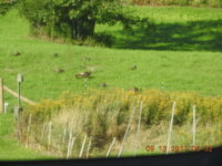 DSCN0739.JPG