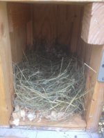 IMG_0880.JPG IMG_0880.JPG